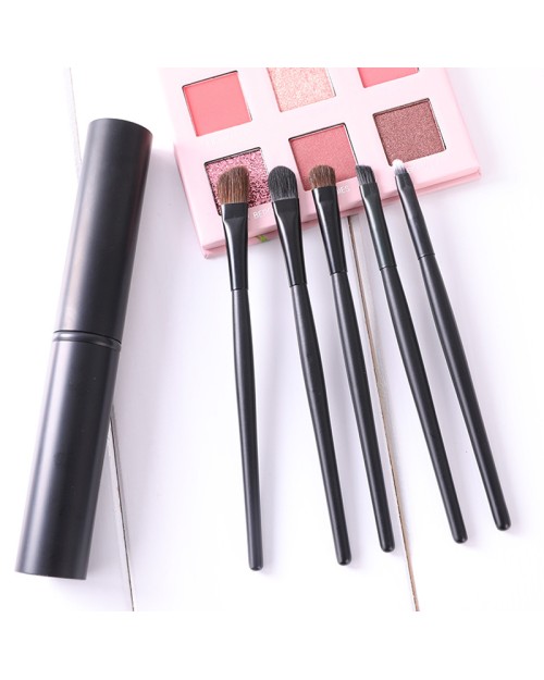 5Pcs Travel Eye Shadow Brush Set Eyeshadow Liner Brushes Kit Portable Eye Brushes With Aluminum Container