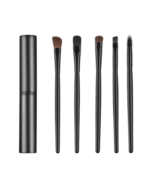 5Pcs Travel Eye Shadow Brush Set Eyeshadow Liner Brushes Kit Portable Eye Brushes With Aluminum Container