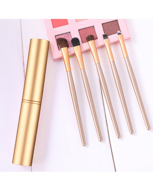 5Pcs Travel Eye Shadow Brush Set Eyeshadow Liner Brushes Kit Portable Eye Brushes With Aluminum Container