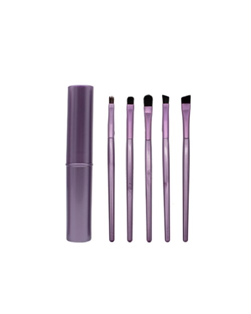 5Pcs Portable Professional Eye Makeup Brushes Set Eyeshadow Eyeliner Eyebrow Brush Lip Makeup Brush Kit