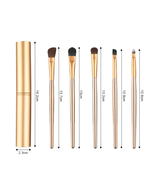 5Pcs Travel Eye Shadow Brush Set Eyeshadow Liner Brushes Kit Portable Eye Brushes With Aluminum Container