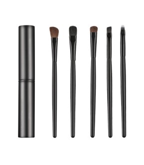 5Pcs Travel Eye Shadow Brush Set Eyeshadow Liner Brushes Kit Portable Eye Brushes With Aluminum Container